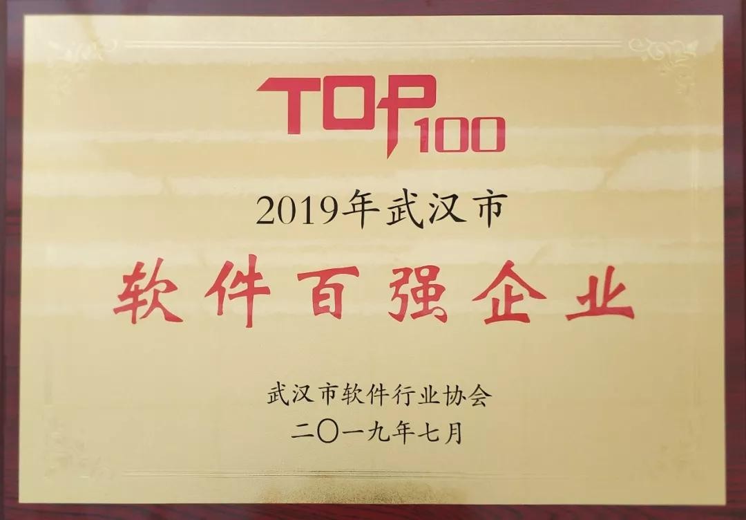 旋乐吧spin8动力荣获2019年武汉市软件百强企业榜单第一名